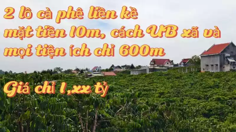 2 lô đất cà phê, cách UB xã và tiện ích 600m, cạnh đồi thông, khu dân cư, đường rộng