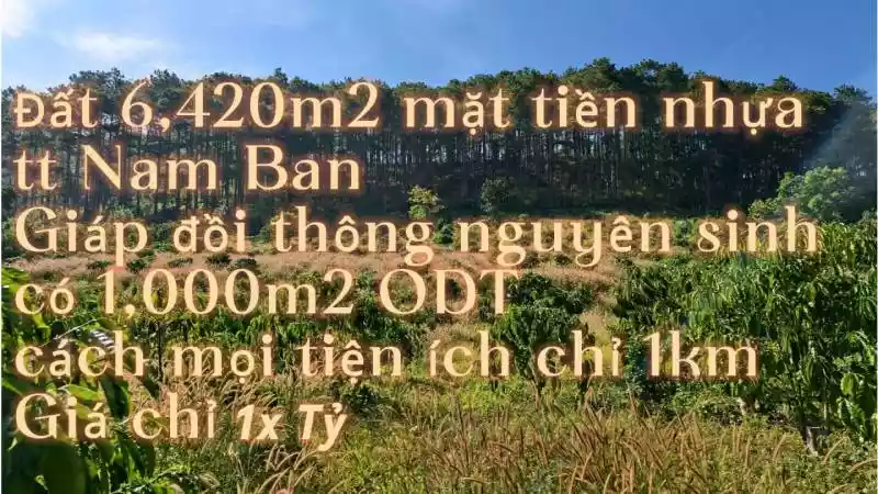 Lô đất 6,620m2 + 1,000m2 ODT 48m mặt nhựa thị trấn Nam Ban, giáp đồi thông view đồi thông