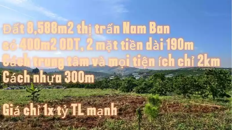 Đất 8,588m2, 400m2 ODT gần nhựa, gần trung tâm và mọi tiện ích thị trấn Nam Ban, view núi đồi thông