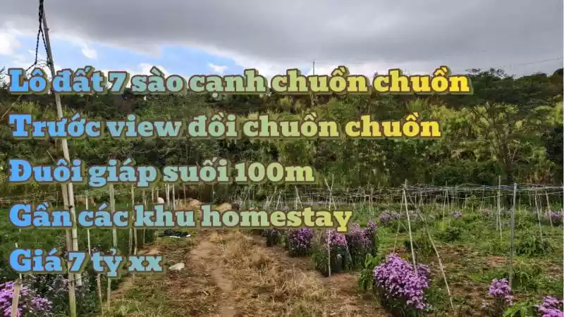 Lô đất 7 sào cạnh du lịch Chuồn Chuồn view đồi thông giáp suối dài 100m