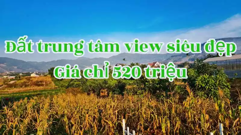 Đất view núi Voi gần trung tâm Đông Thanh giá siêu rẻ