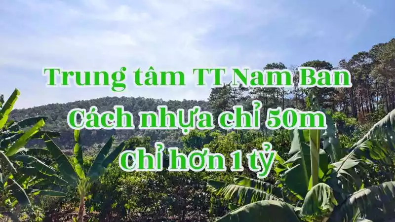 Đất trung tâm TT Nam Ban gần mọi tiện ích view đồi thông