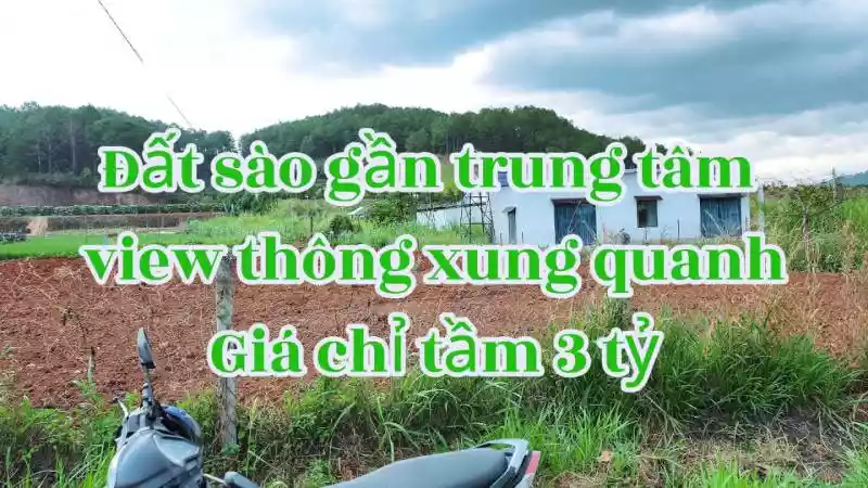 Đất sào gần trung tâm view đồi thông xanh mát trong lành xung quanh