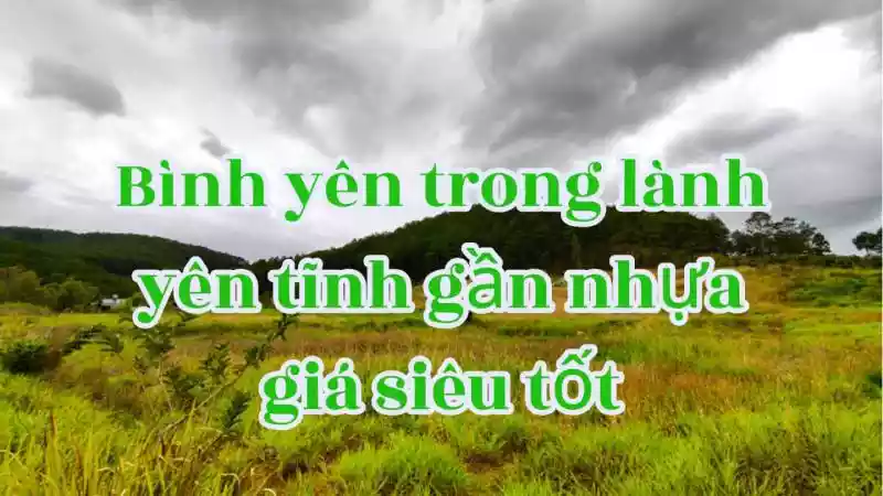 2 sào thông bao quanh yên tĩnh bình yên trong lành mà giá lại siêu hời