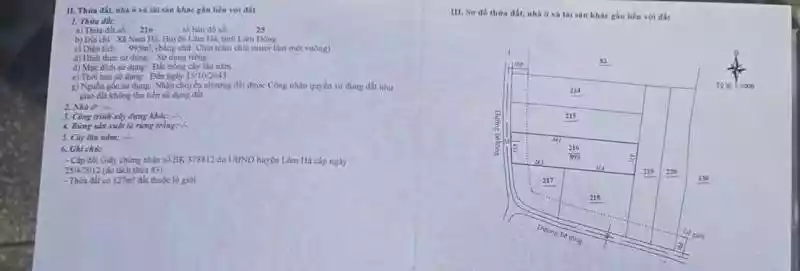 nha-vuon-ghi-duong-hien-dai-tai-hoan-kiem-3-gia-rat-tot-detail-20250723231128.jpg